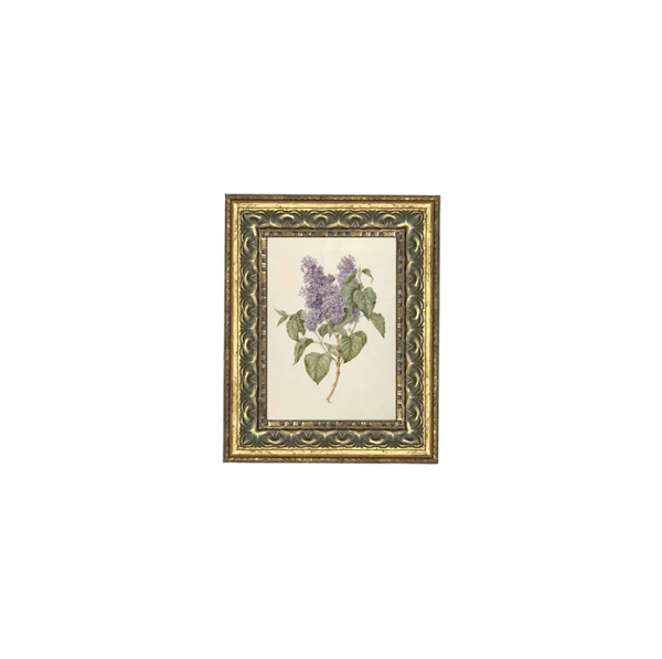 Lilac Branch