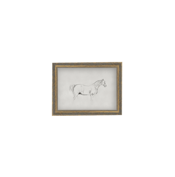 Horse Sketch