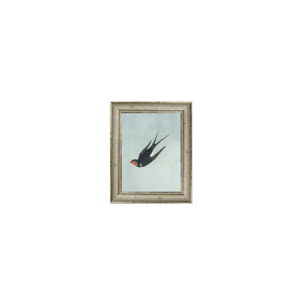 Swallow Boraston