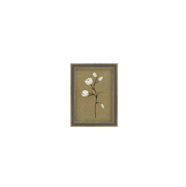 Tulip Stem