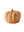 Thanksgiving Pumpkins