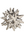 Silver Urchin
