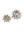 Silver Urchin