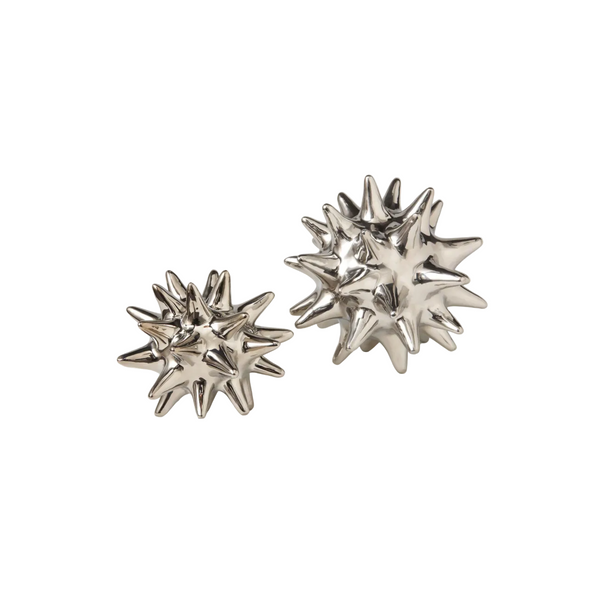 Silver Urchin