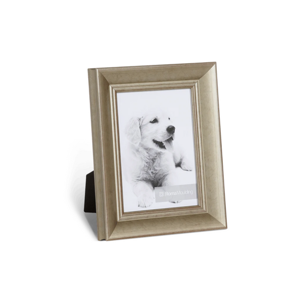 Gilded Silver Picture Frame