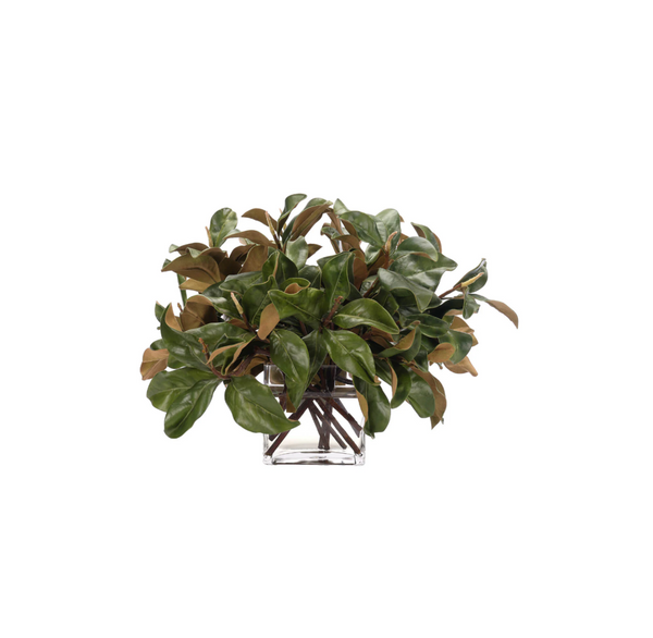 Magnolia Leaf Branches Watergarden