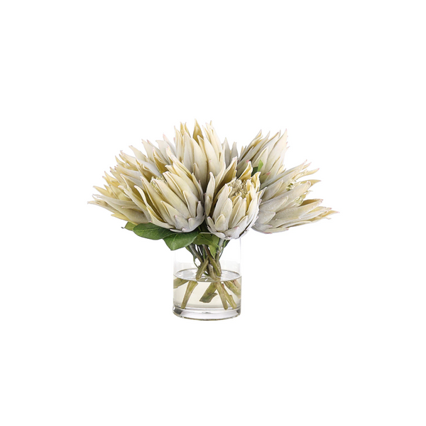 Green Protea in Glass Cylinder