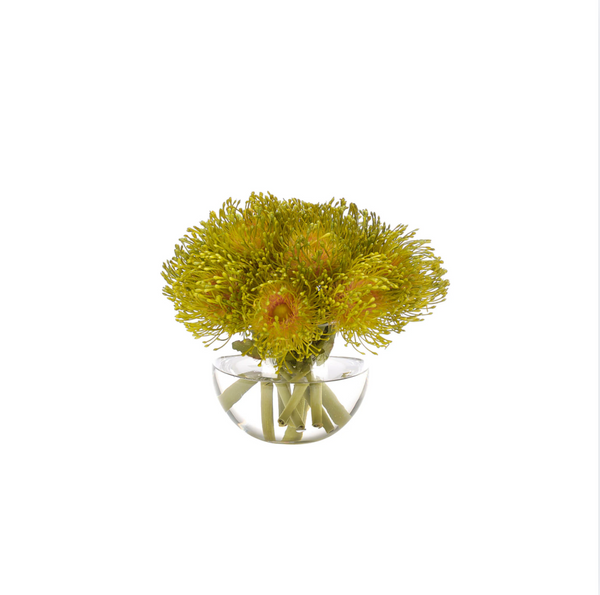 Green Protea in Glass Bubble