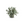 Eucalyptus in Porcelain Vase