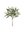Olive Branch Bundle x5 Green