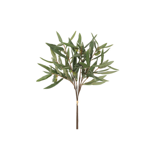 Olive Branch Bundle x5 Green