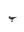Nevermore Figurine