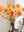 Poppies 27