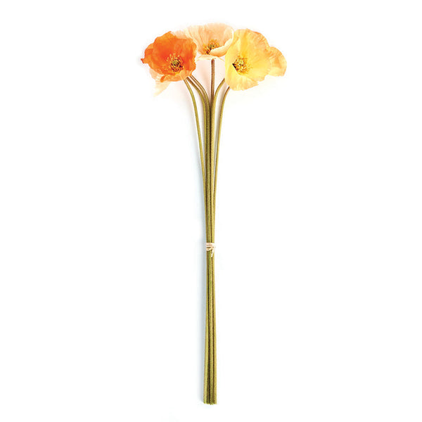 Poppies 27" - Bundle of 6