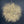 Tumbleweed Chandelier