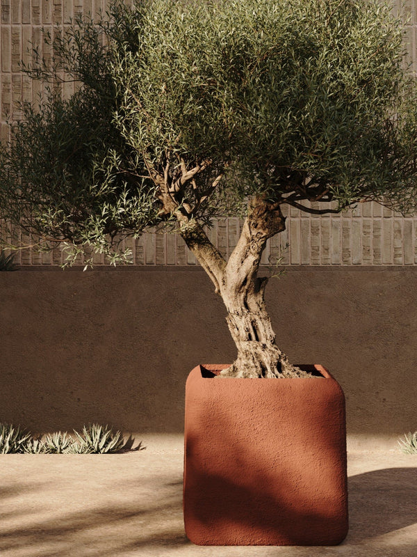 Torino Planter