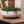 Sienna Planter