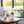 White Phalaenopsis Orchid in Glass Bubble