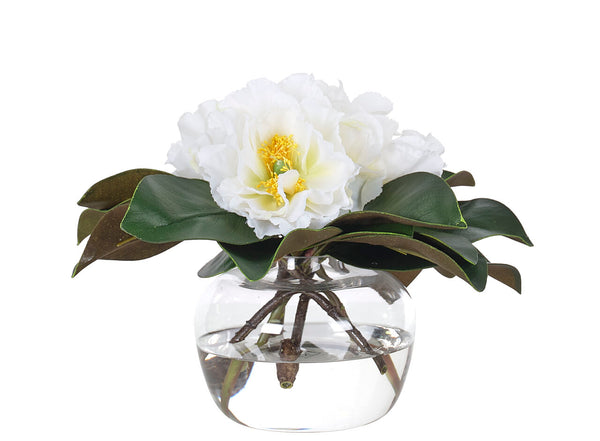 Peony Magnolia Foliage in Glass Vase