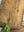 Vintage Cutting Bread Boards, Reclaimed Wood Bread Boards