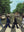 The Beatles, Abbey Road