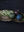 Angelica Ornament - Set of 12