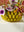Banana Bowl