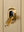 3G TOGGLE / CROSS / WITH LOGO