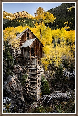 Cabin Refuge