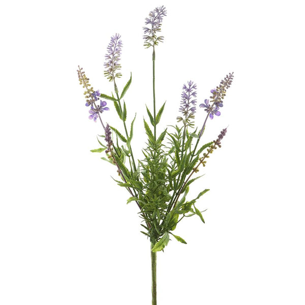 Lavender Bush Purple Lavender