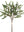 Olive Branch Bundle x5 Green