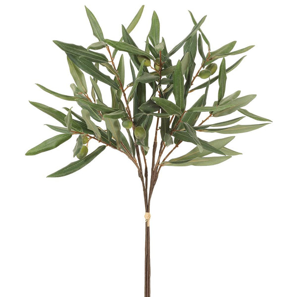 Olive Branch Bundle x5 Green