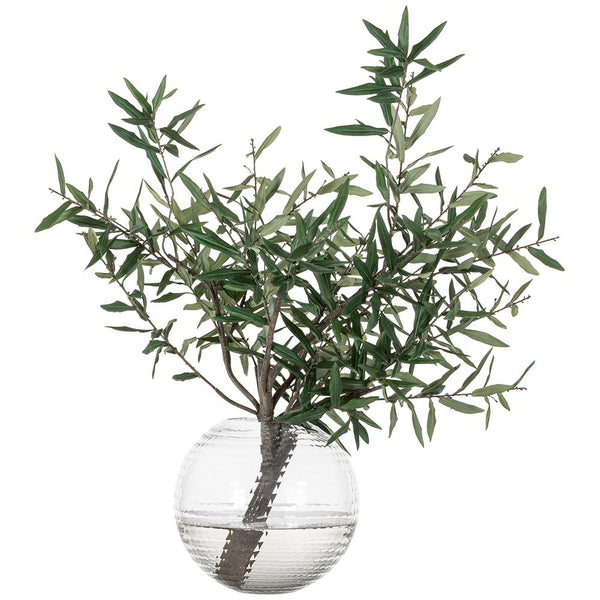 Olive Branch in Round Glass Vase