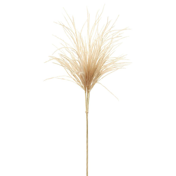 Reed Bundle x3 Beige