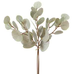 Eucalyptus Leaf Bundle