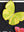 Chanel Butterfly Swarm - The butterfly monograms are the staple pieces to a