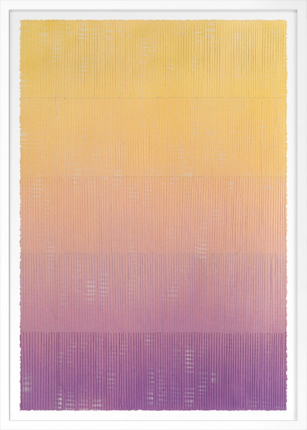 Tarli Bird | Colour Vision 1