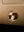 1G DIMMER / LED / WITHOUT LOGO
