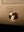 1G DIMMER / LED / WITH LOGO