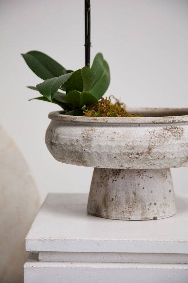 Grace Footed Bowl