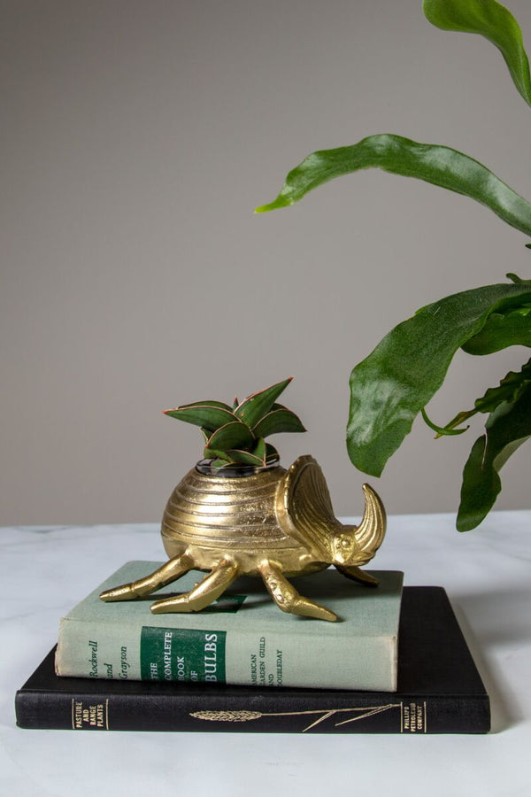 Golden Scarab Pot