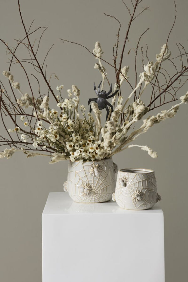 Spider Pot