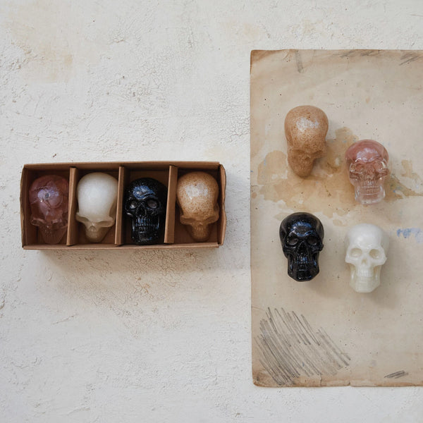 Resin Skulls in Box - Set of 4