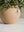 Kassie Vase
