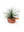 Terracotta Hat Planter