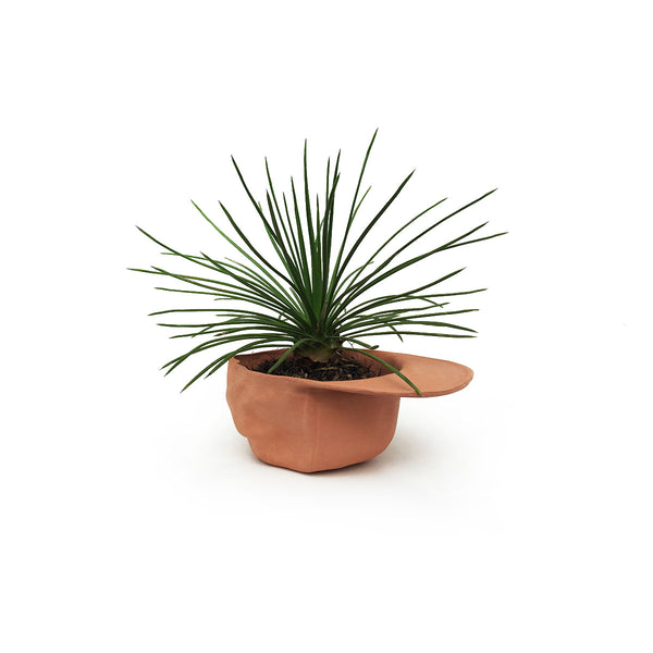 Terracotta Hat Planter