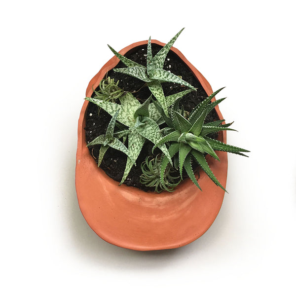 Terracotta Hat Planter