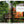 Great Escapes Latin America