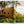 Great Escapes Latin America
