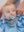 Pacifier (Set of 2)